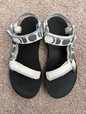 moon phase tevas